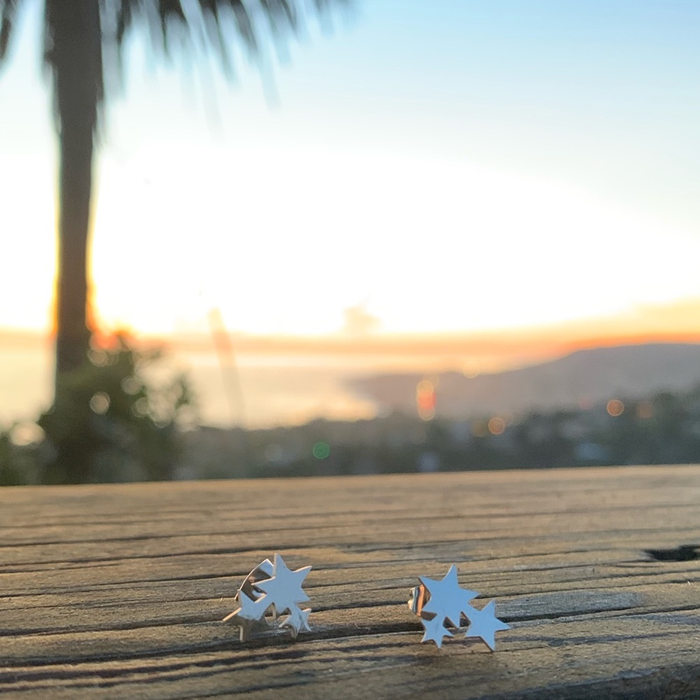 STAINLESS STEEL ☆ LYNX Stud Earrings - Picture 6 of 8